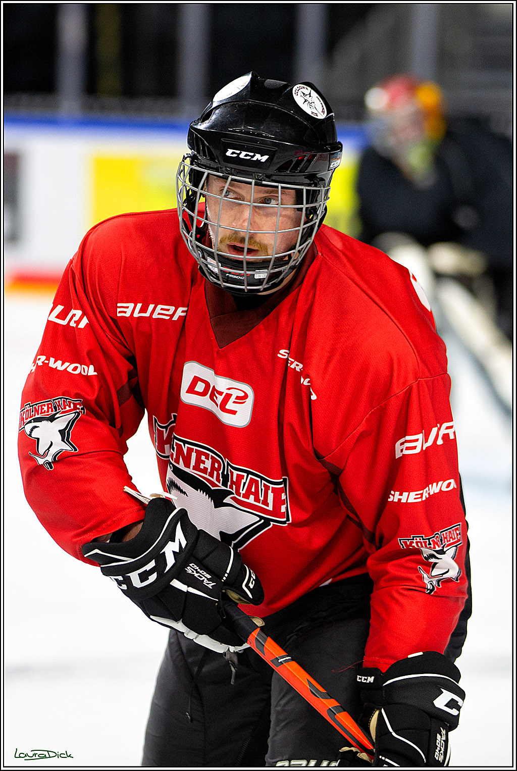 PENNY DEL; Koelner Haie- Red BUll Muenchen Sponsorenspiel; Koeln, 08.11.2022